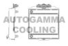 AUTOGAMMA 107009 Radiator, engine cooling